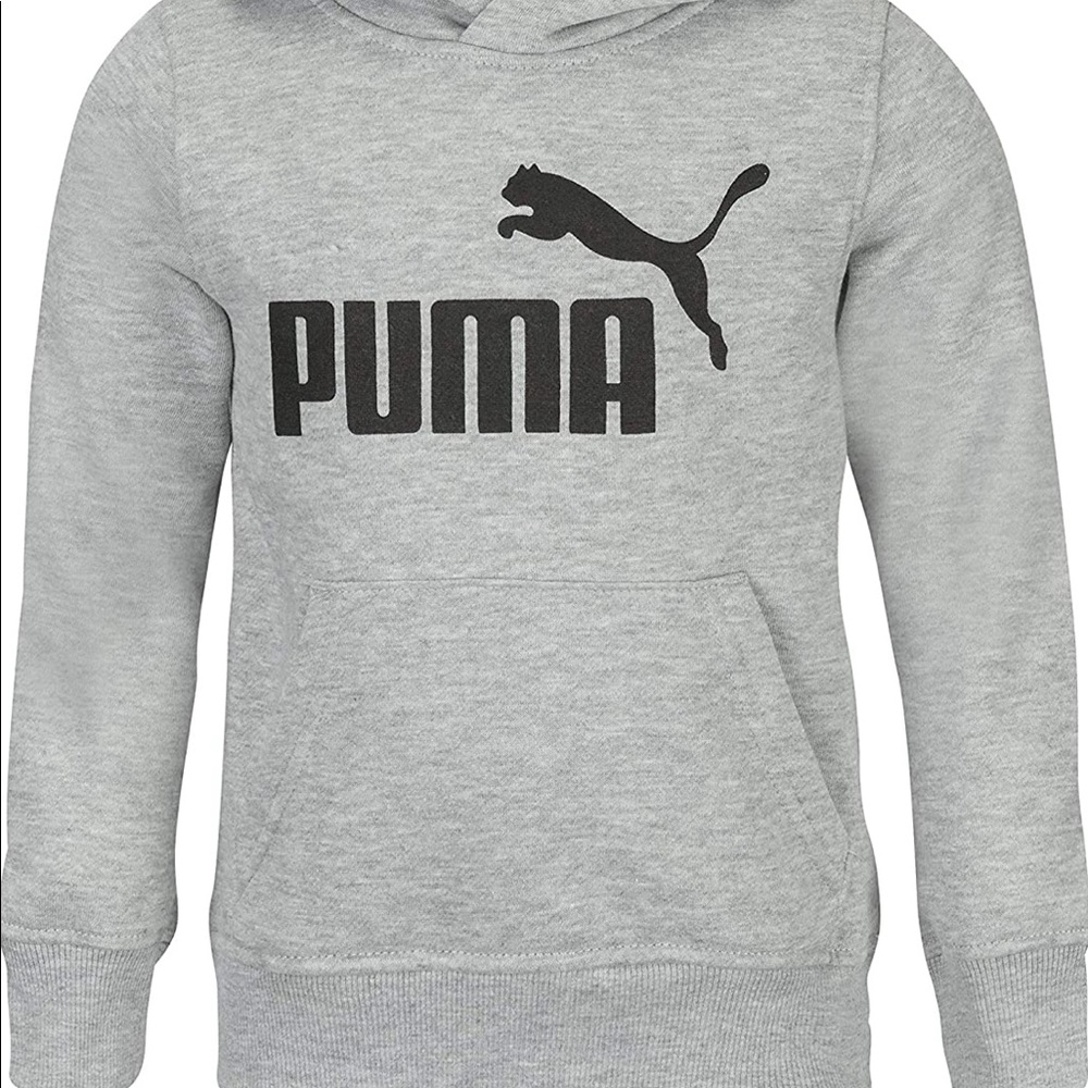 EUC Grey Puma Hoodie - Picture 2 of 5